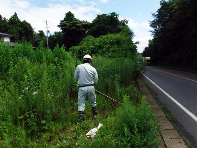 測量杭の捜索