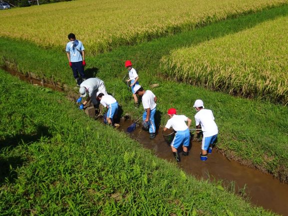 生き物調査風景