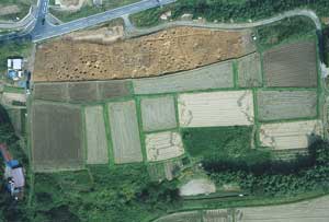 遺跡全体の様子