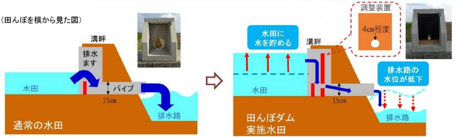 通常の水田と田んぼダム実施水田比較断面図