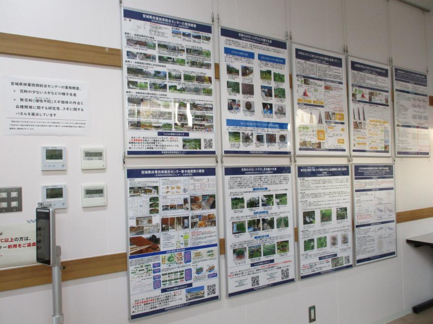 sugipanel