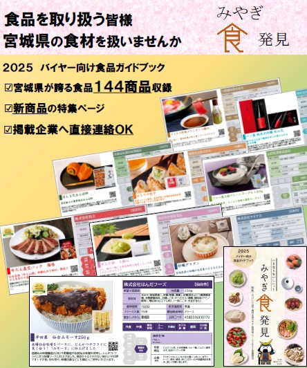 flyer4