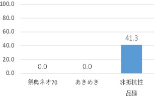 根こぶ病薬剤不使用時の発病後