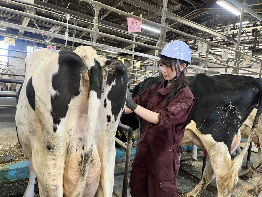 飼養管理