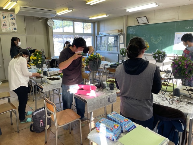 イチゴの親株定植作業