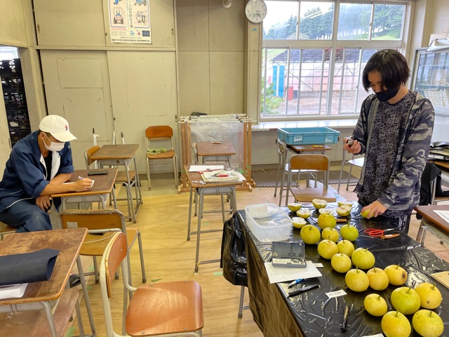 イチゴの苗質調査