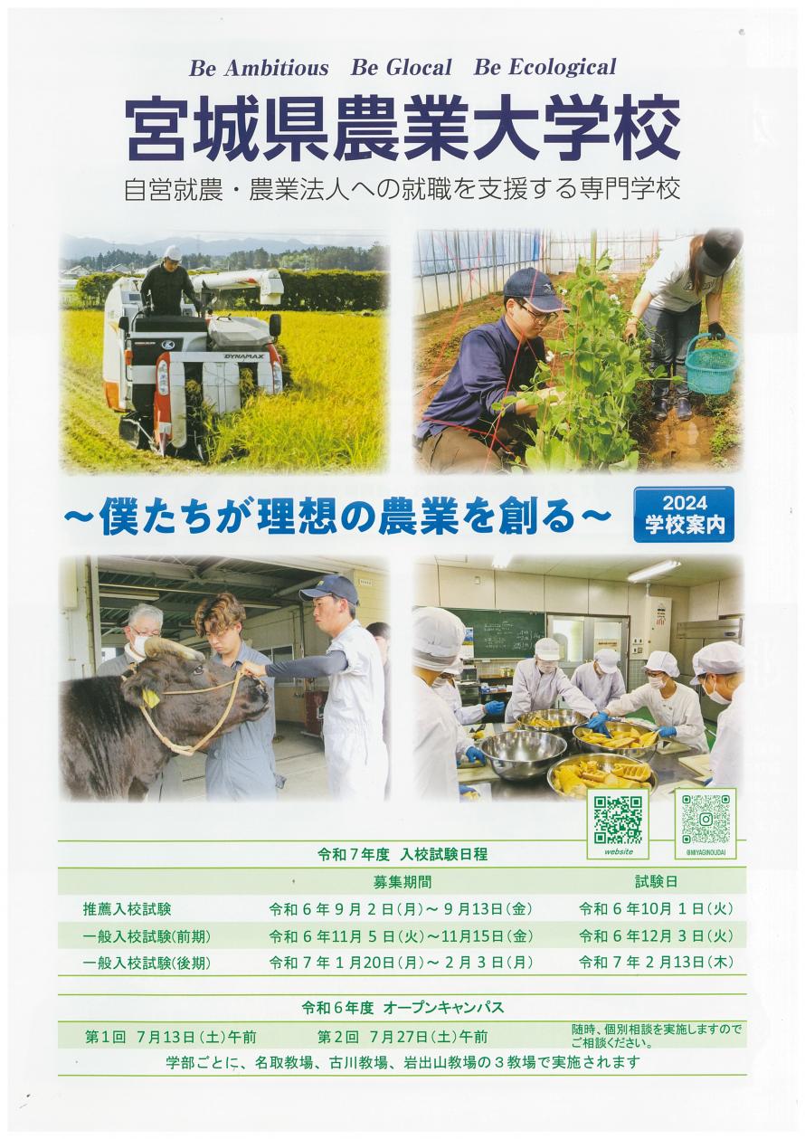学校案内