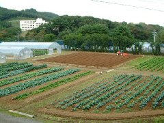 園芸学部露地実習ほ場