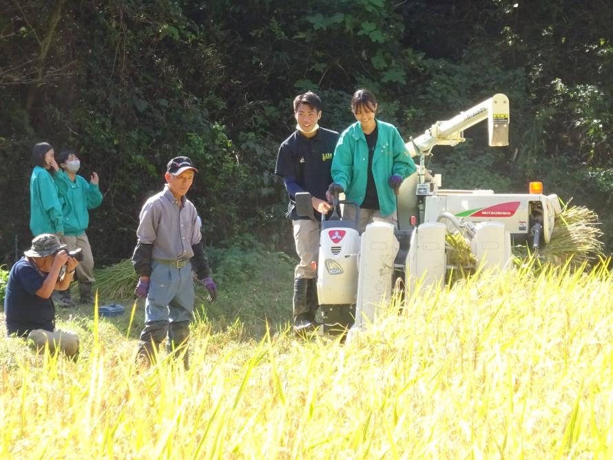 大張沢尻棚田稲刈り1