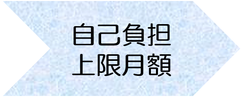 自己負担上限月額