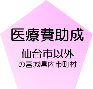 医療費助成（仙台市以外）