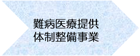 難病医療提供体制整備事業