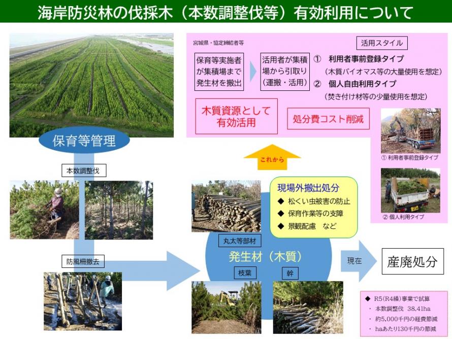 海岸防災林の伐採木（本数調整伐等）有効利用のイメージ