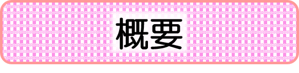 概要