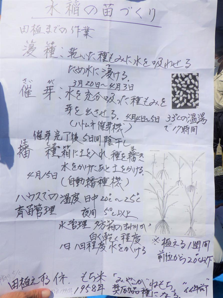 説明資料