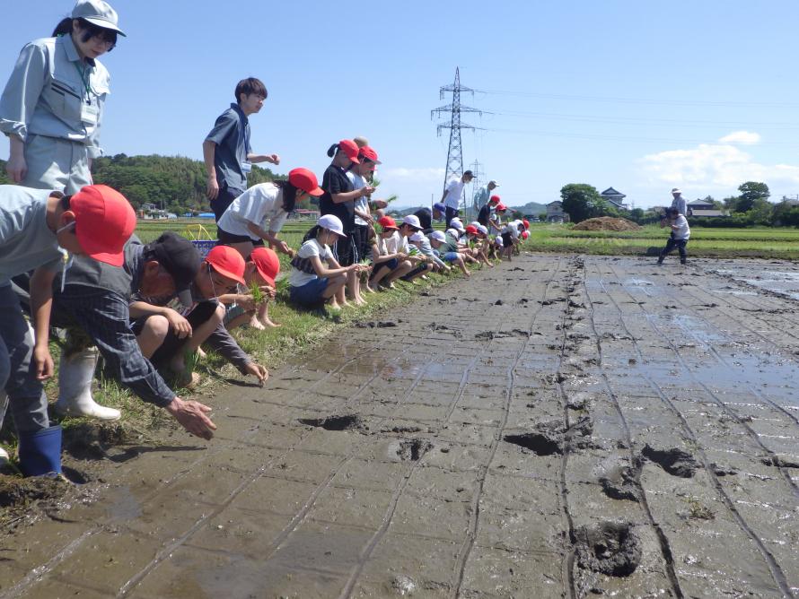 田植え１
