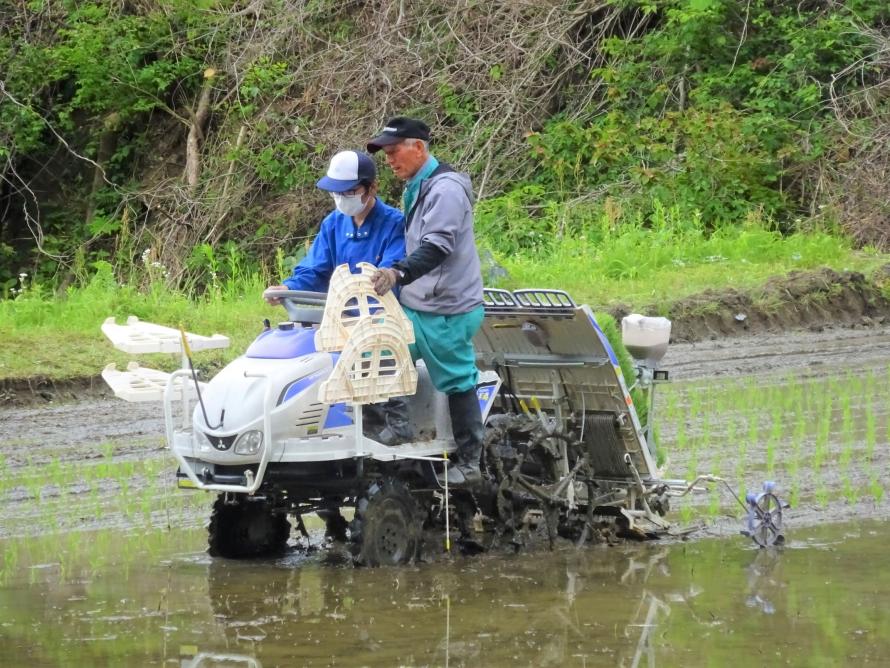 大張沢尻棚田田植え1