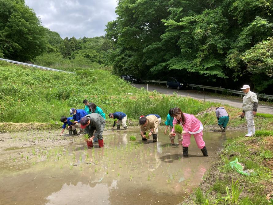 大張沢尻棚田田植え2