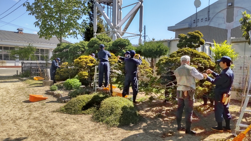 実習場前剪定の様子