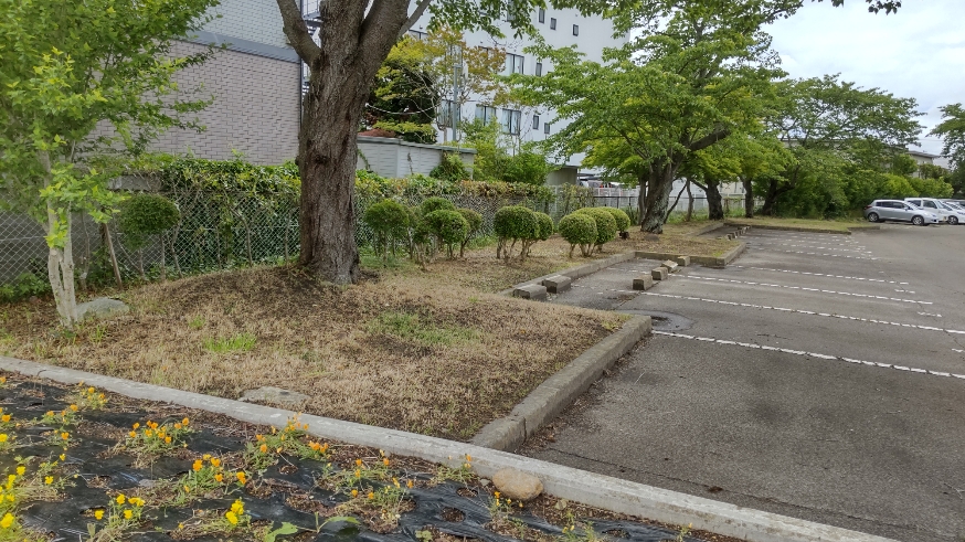 正門脇の環境整備