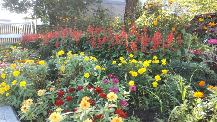 花壇1