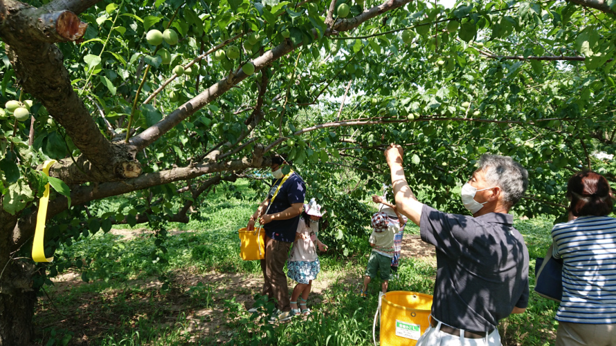 道の駅かくだ