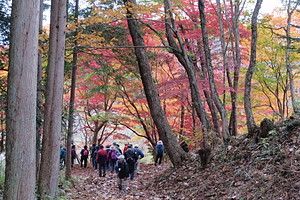 里山hiking
