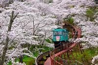船岡城址