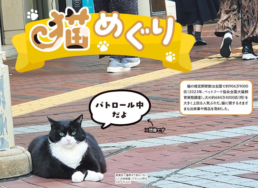 猫めぐり