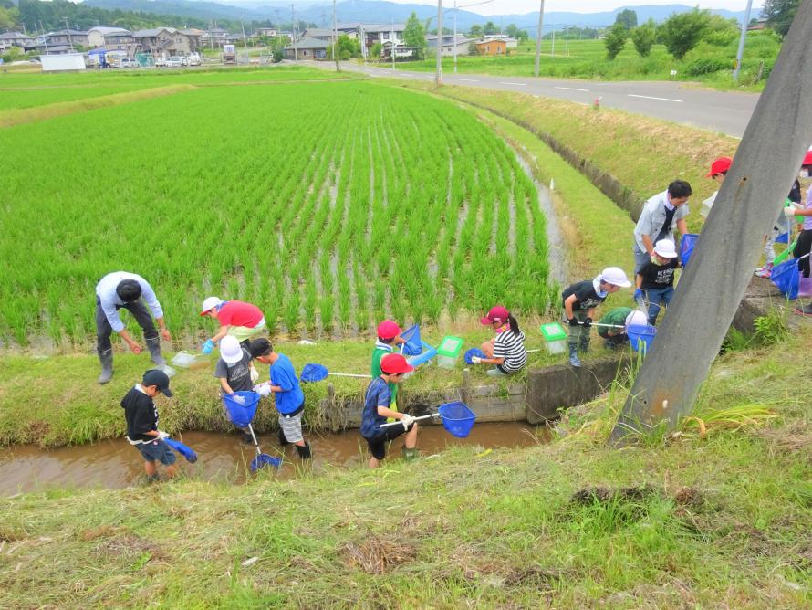 白石生き物調査1