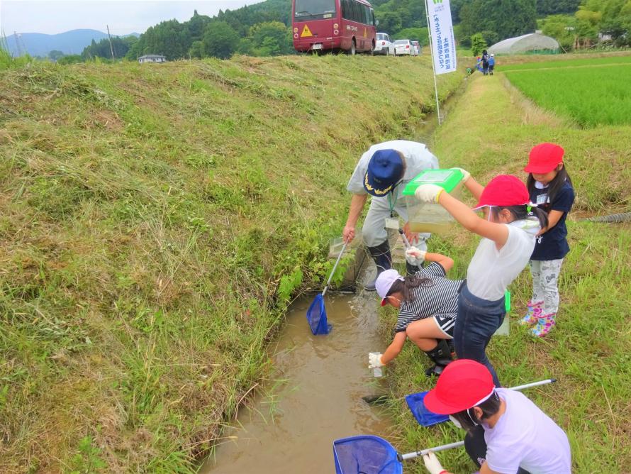 白石生き物調査3