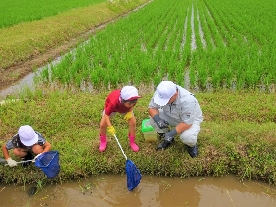 白石生き物調査2