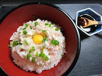 山メカ丼