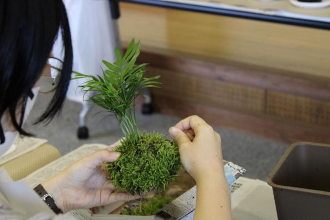 苔玉作製体験