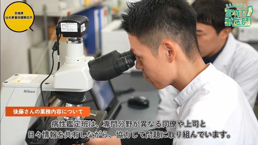 農政部獣医師が顕微鏡を使用している様子