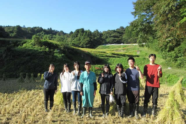 沢尻の棚田（丸森町）での「収穫体験」