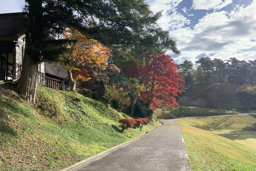 地域の文化拠点である「ひころの里」に紅く色付いたもみじ