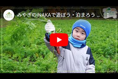 INAKAの動画