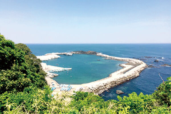 恋する灯台