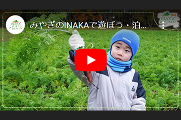 INAKAの動画