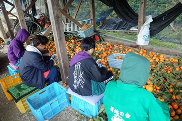 農山漁村プラットフォーム