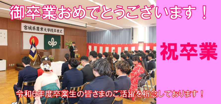卒業バナー