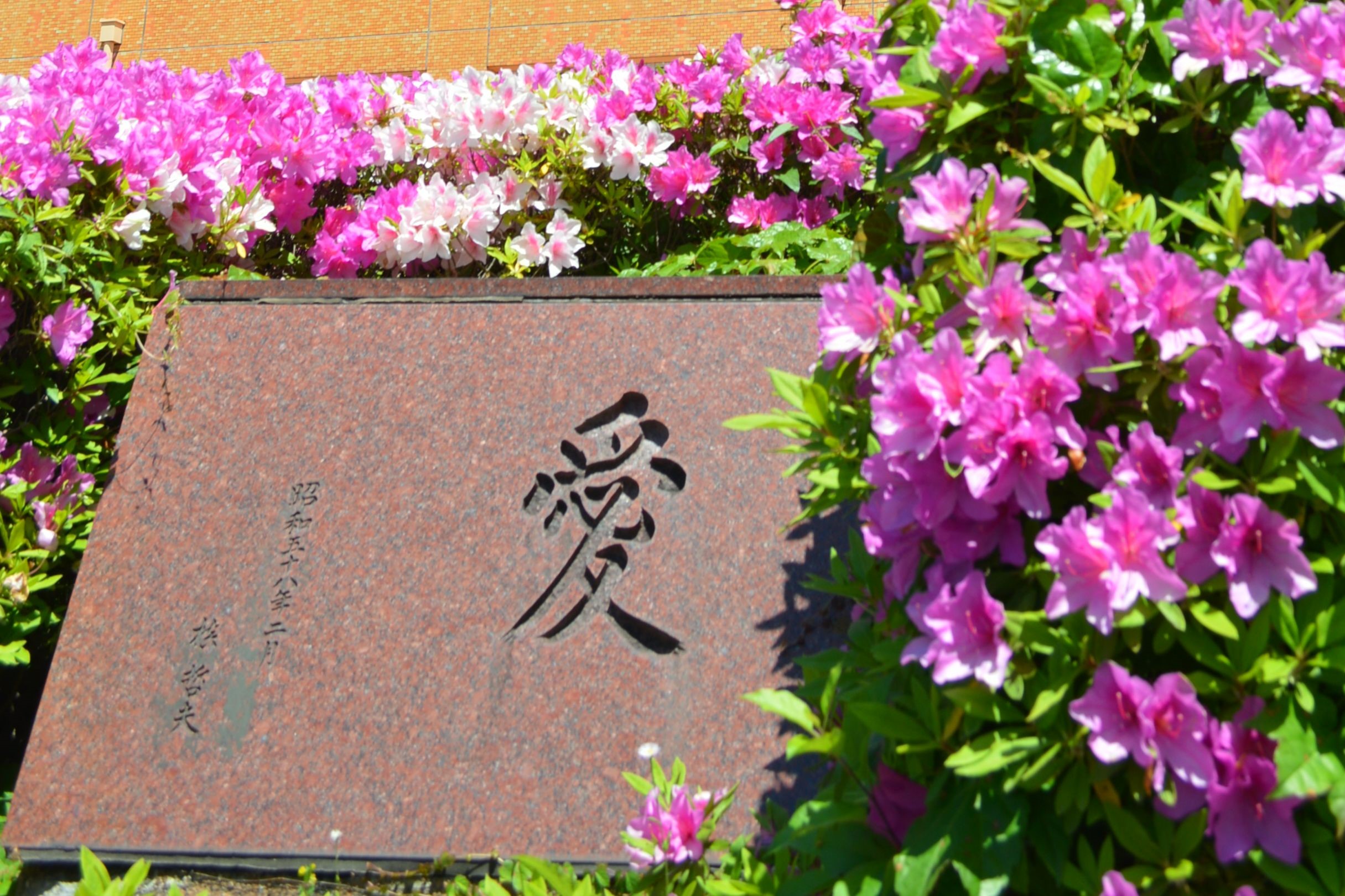 tohokuh_02