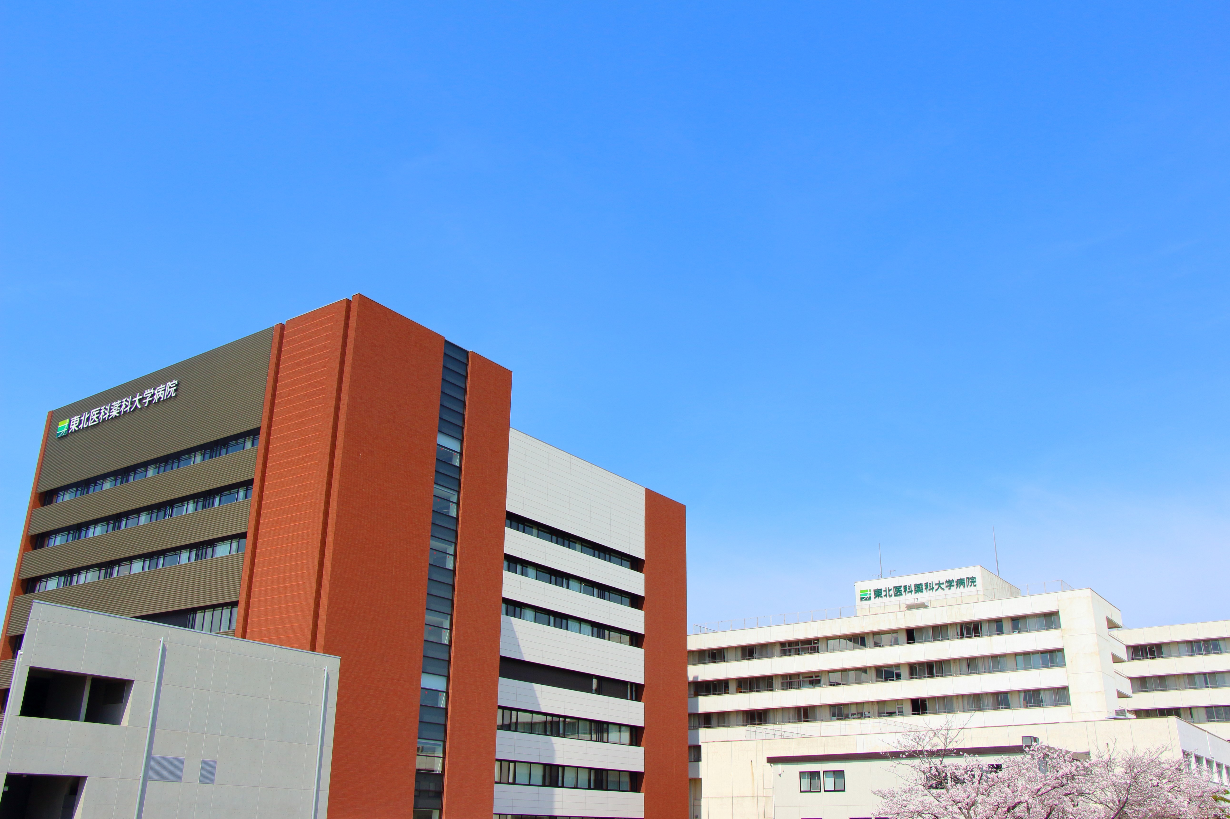 tohoku-mpu_01