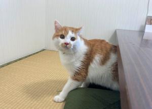 みー