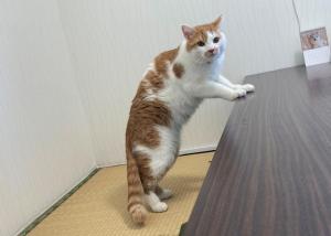 みー１