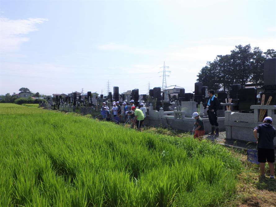生き物調査1
