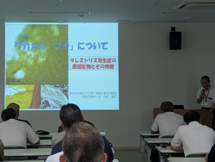 浜と水試