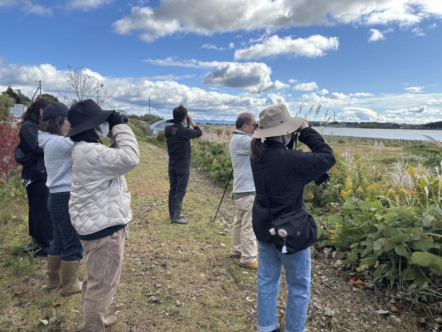 鳥類観察会