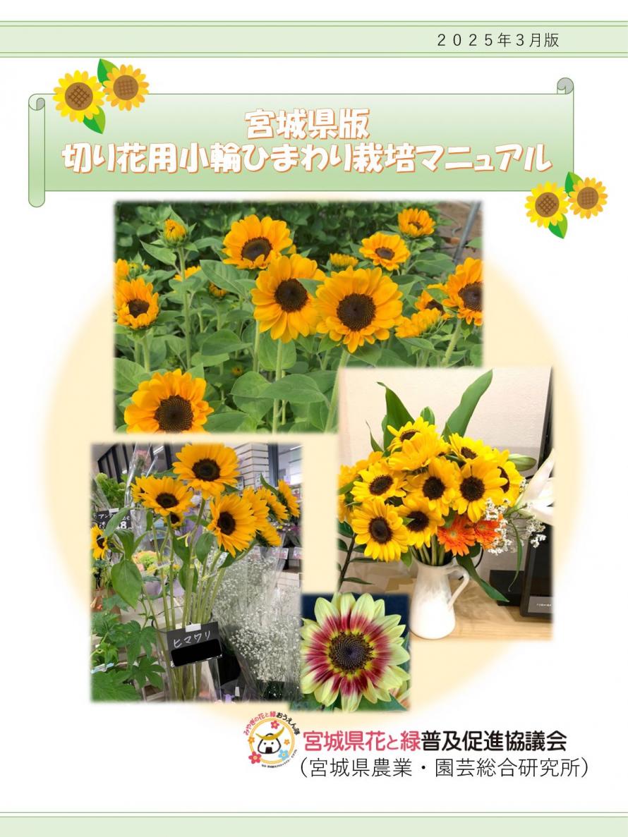マニュアル表紙